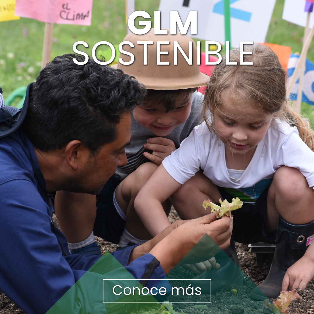Gimnasio La Montaña
